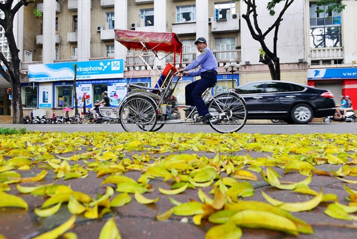 La vang nhuom Ha Noi pho dep den nao long-Hinh-7