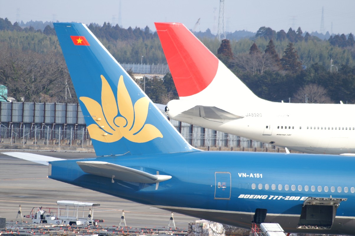 Logo hoa sen cua Vietnam Airlines thay doi nhu the nao-Hinh-6