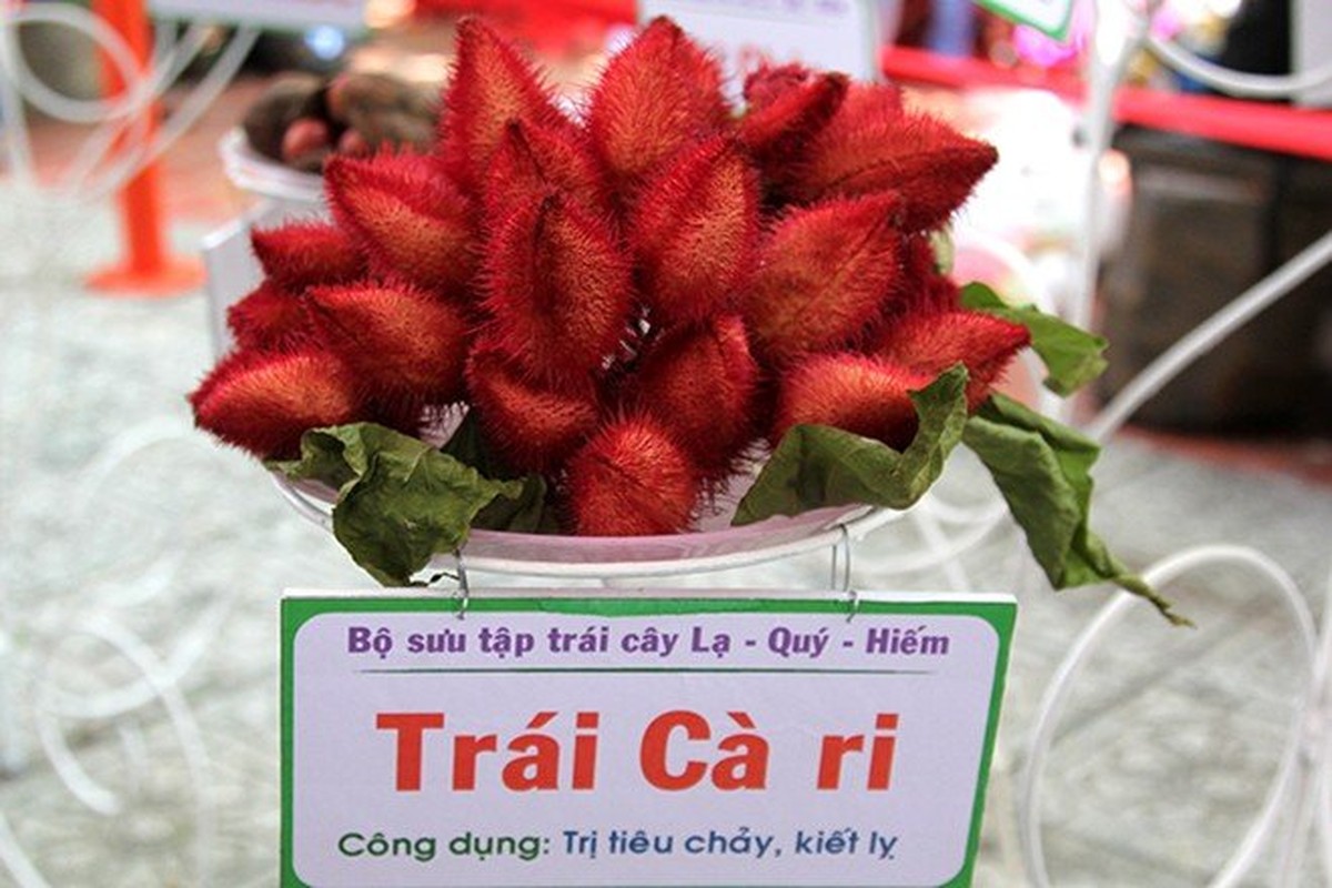 Ca ri do vua trong canh vua tao mau thuc pham-Hinh-8