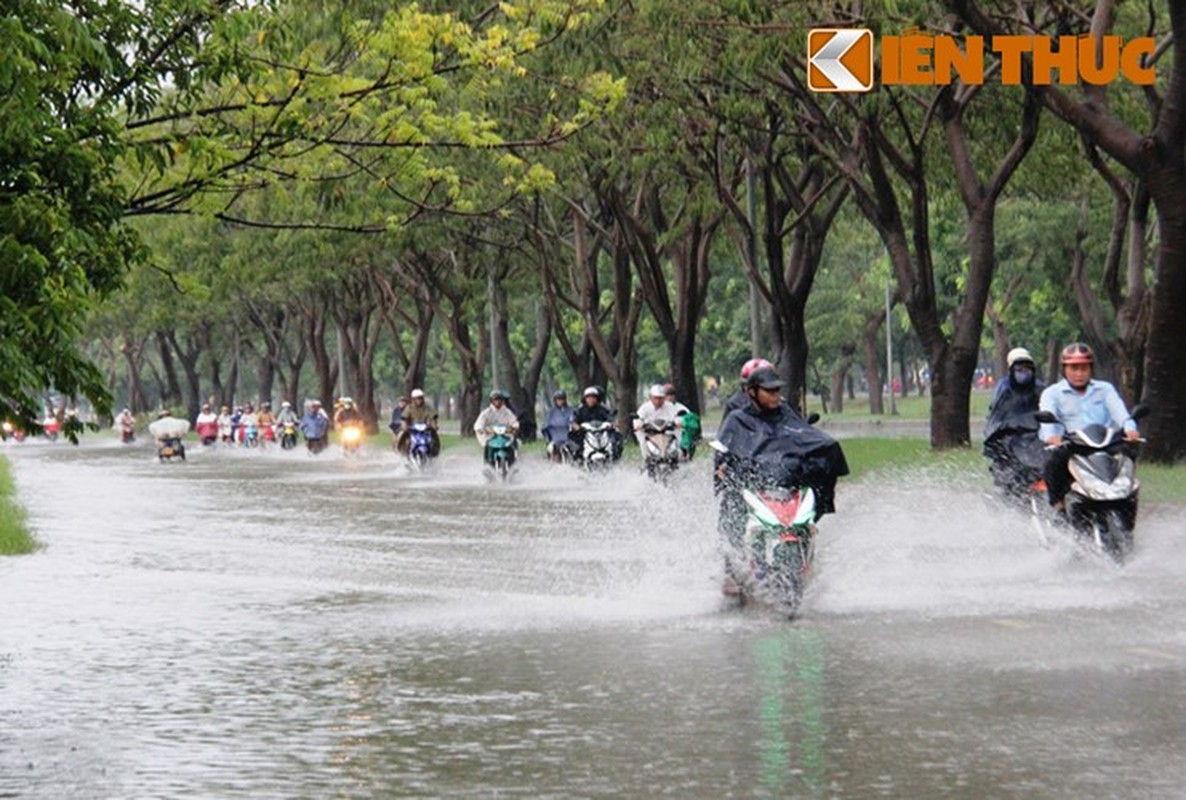 View - 	Hái ra tiền với ngập lụt tại TP HCM
