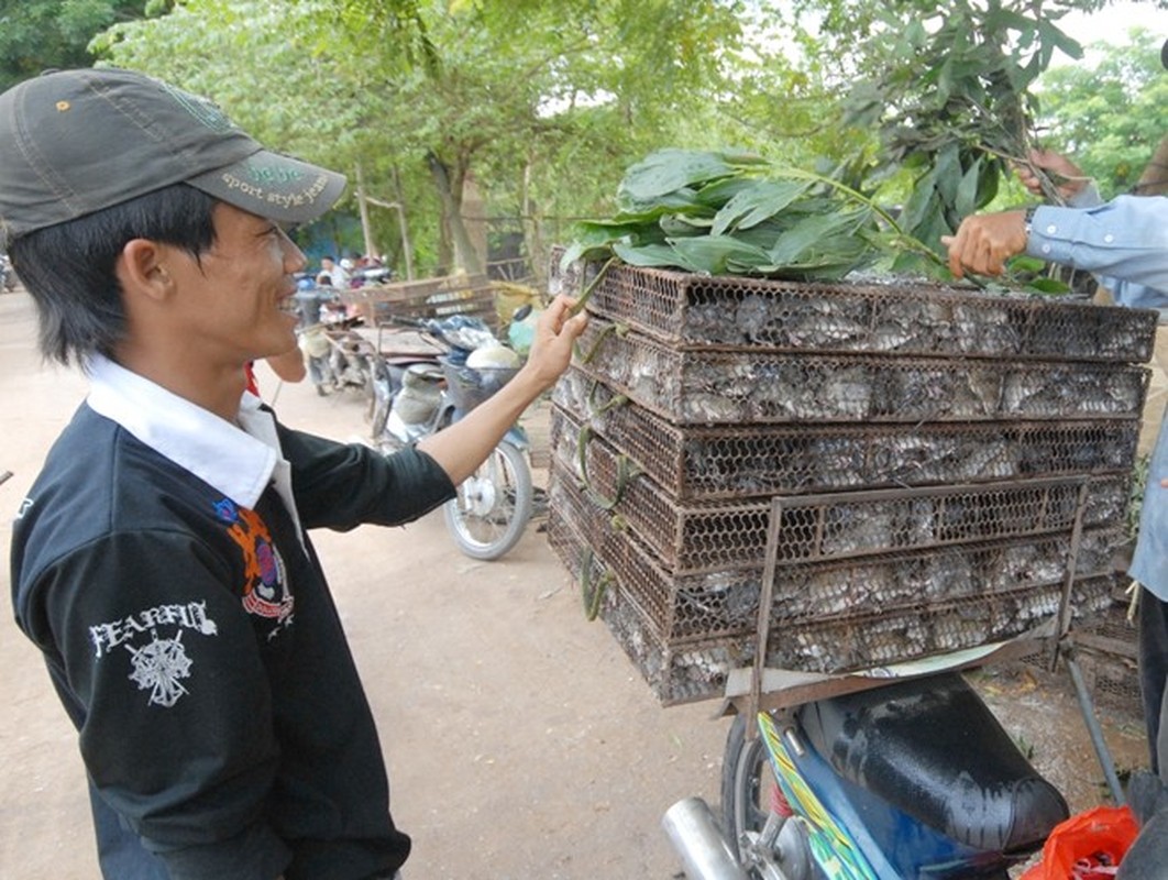 Kham pha loat cho mien Tay noi tieng kinh di-Hinh-7