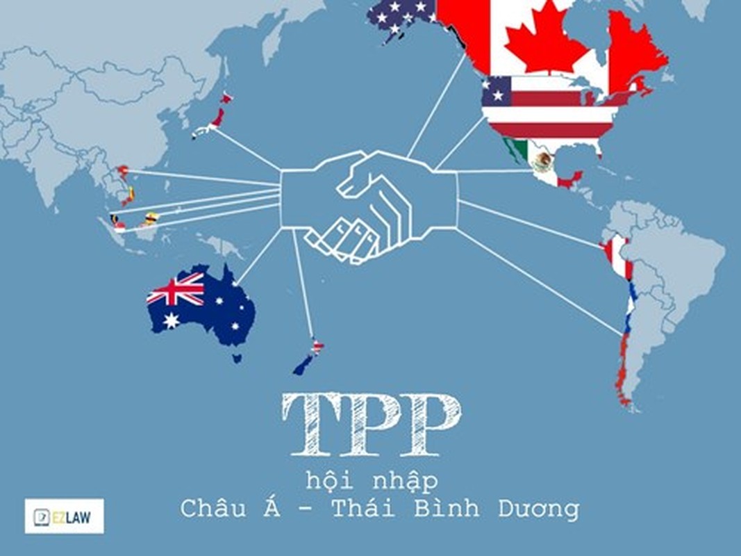 Nhung dieu it biet ve hiep dinh the ky TPP-Hinh-6