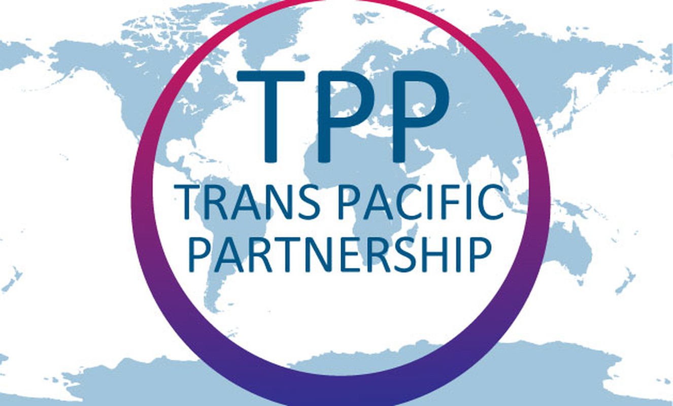 Nganh nao huong loi khi TPP the ky duoc thong qua?-Hinh-2