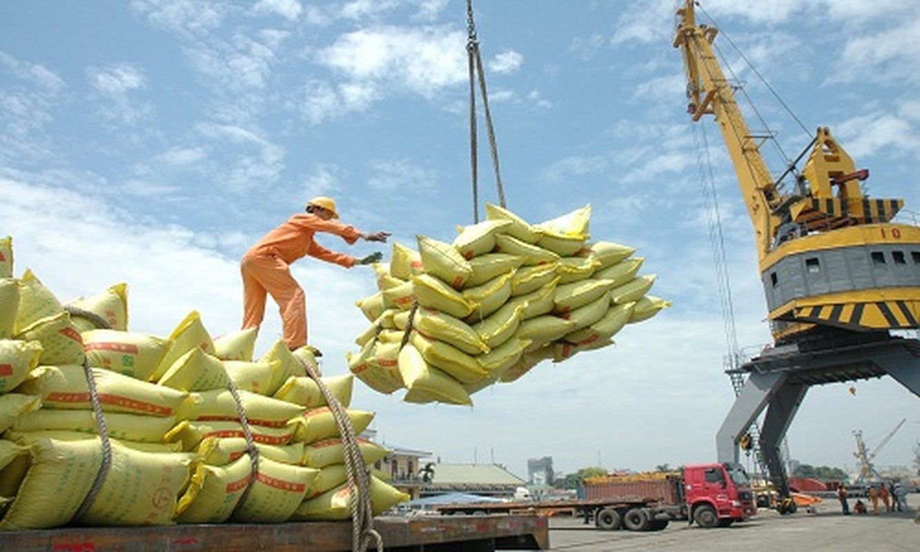 Nganh nao huong loi khi TPP the ky duoc thong qua?