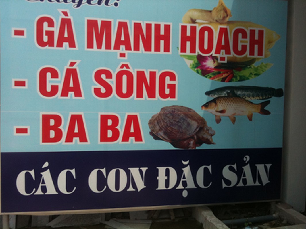 Cuoi dau ruot voi quang cao ban hang ba dao-Hinh-10