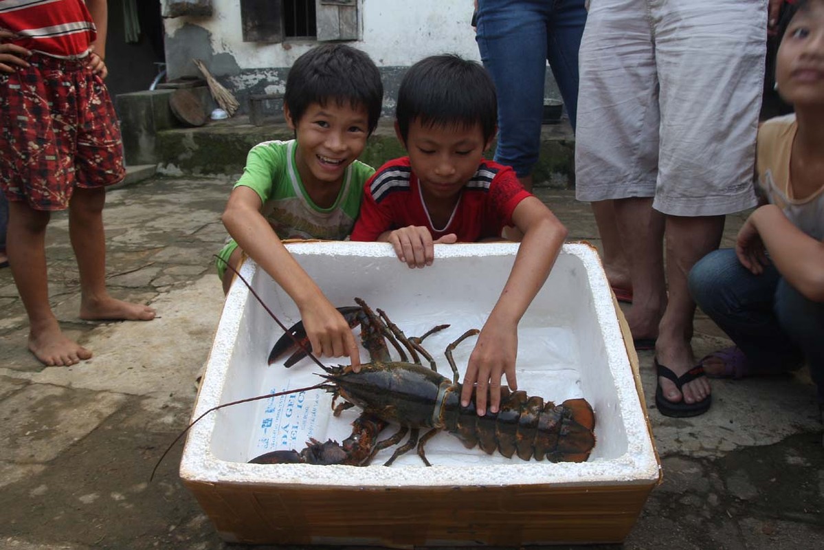 Chan dung tom hum khong lo lien tiep mac luoi-Hinh-10