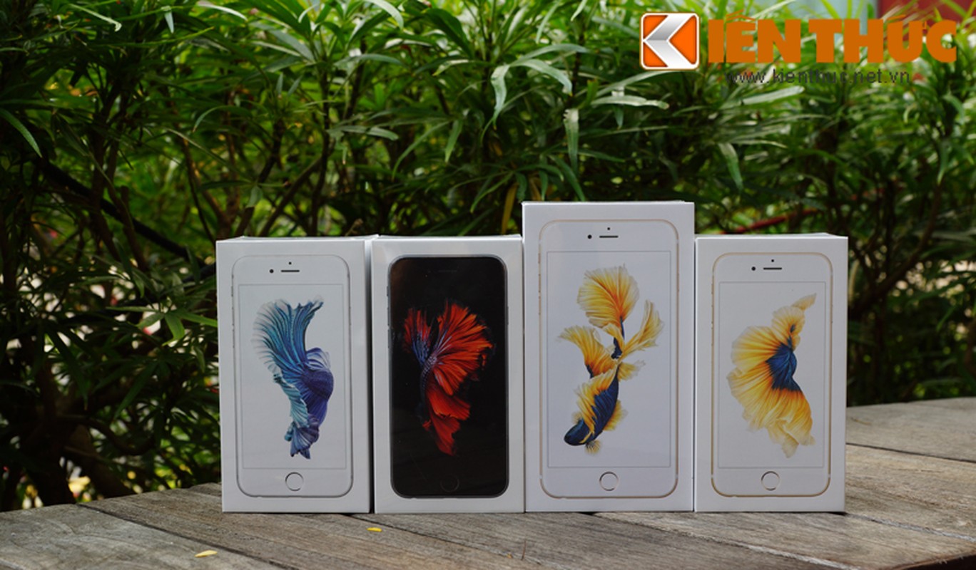 Dan Ha Noi nhon nhip sam bo doi iPhone 6S chinh hang-Hinh-12