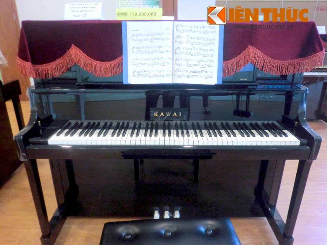 Xon xao dan piano gia soc 2 ty dong o Ha Noi-Hinh-10