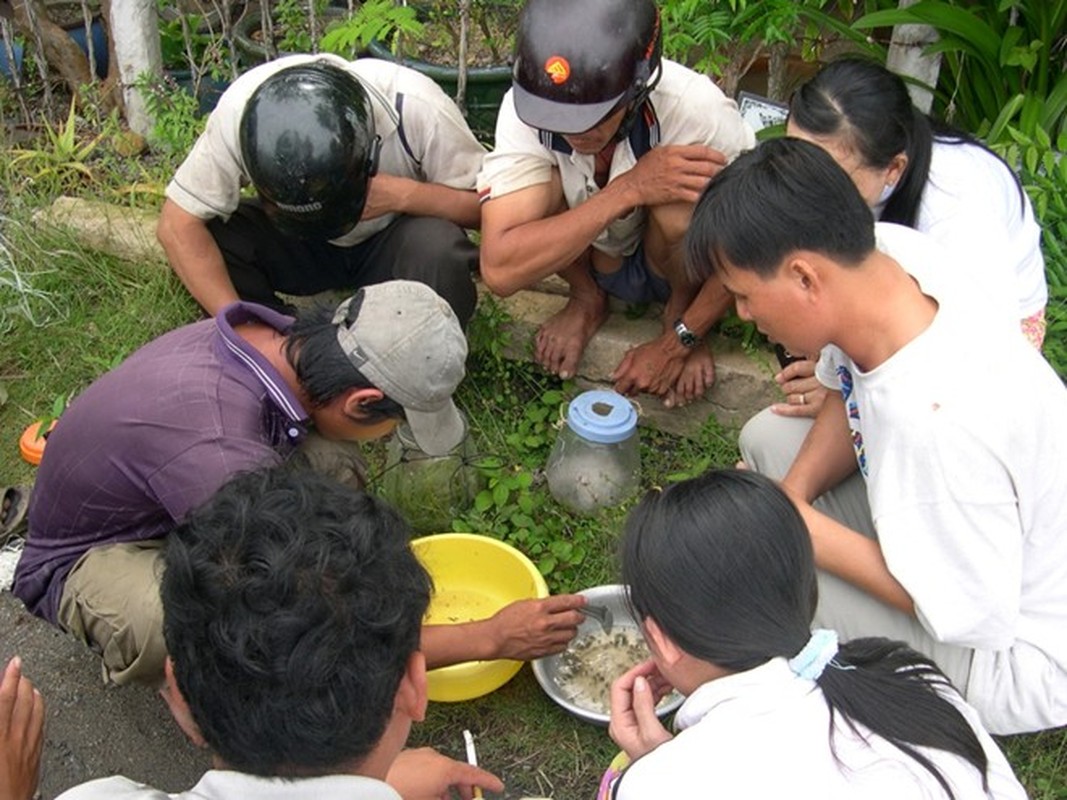 Nghe danh bat doc la hai ra tien cua ngu dan Viet-Hinh-9