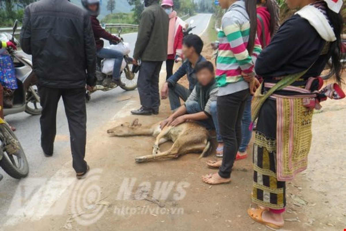 Giat minh loat hang quai doc bay ban tran via he-Hinh-10