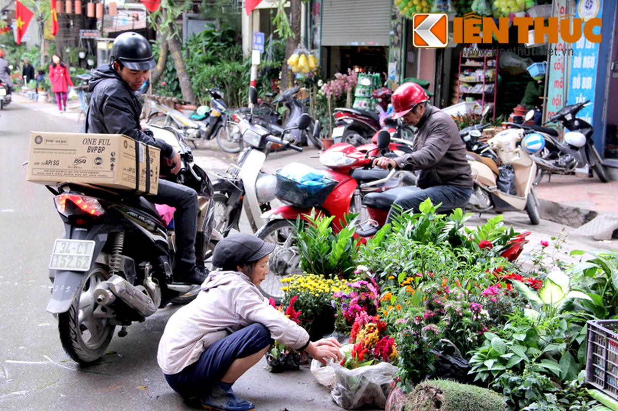 Ngam pho cay canh Ha Noi ruc ro bung hang Tet-Hinh-10