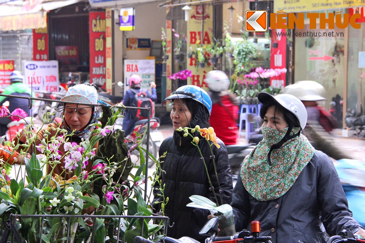 Ngam pho cay canh Ha Noi ruc ro bung hang Tet-Hinh-3