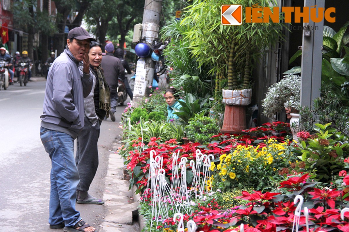 Ngam pho cay canh Ha Noi ruc ro bung hang Tet-Hinh-9