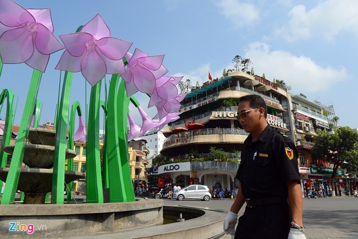 Thao do dai hoa la gay tranh cai o Ha Noi-Hinh-8