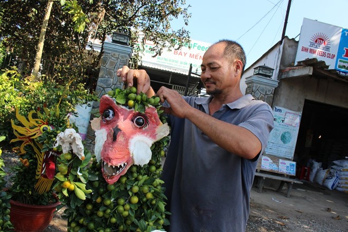 Ngam loat cay qua hinh khi sot xinh xich don Tet Binh Than-Hinh-2