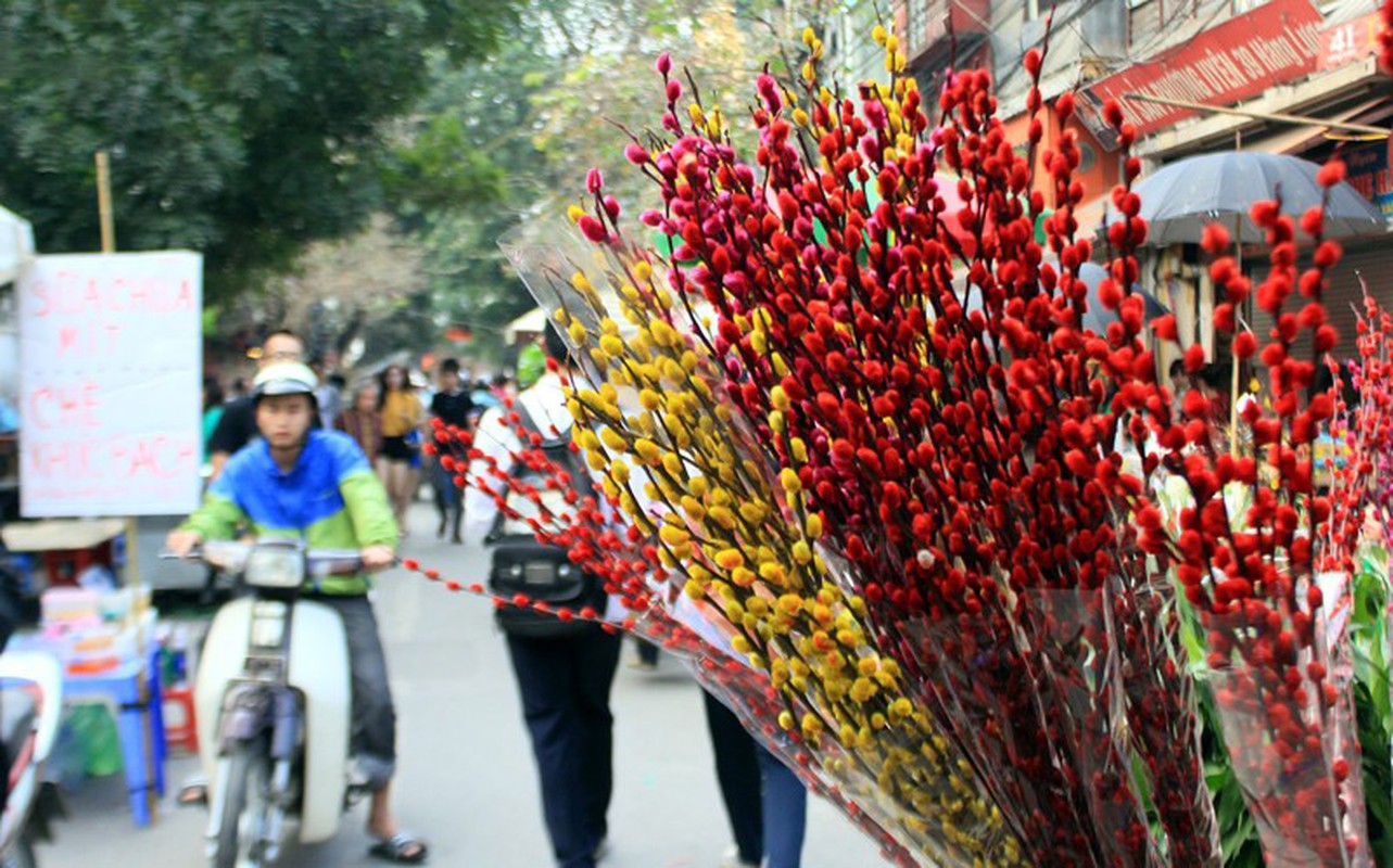 Bat mi nhung loai hoa cam Tet ruoc tai loc vao nha-Hinh-8