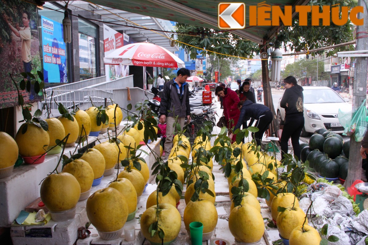 Can canh buoi vang khong lo chung Tet hut khach Ha Noi-Hinh-5