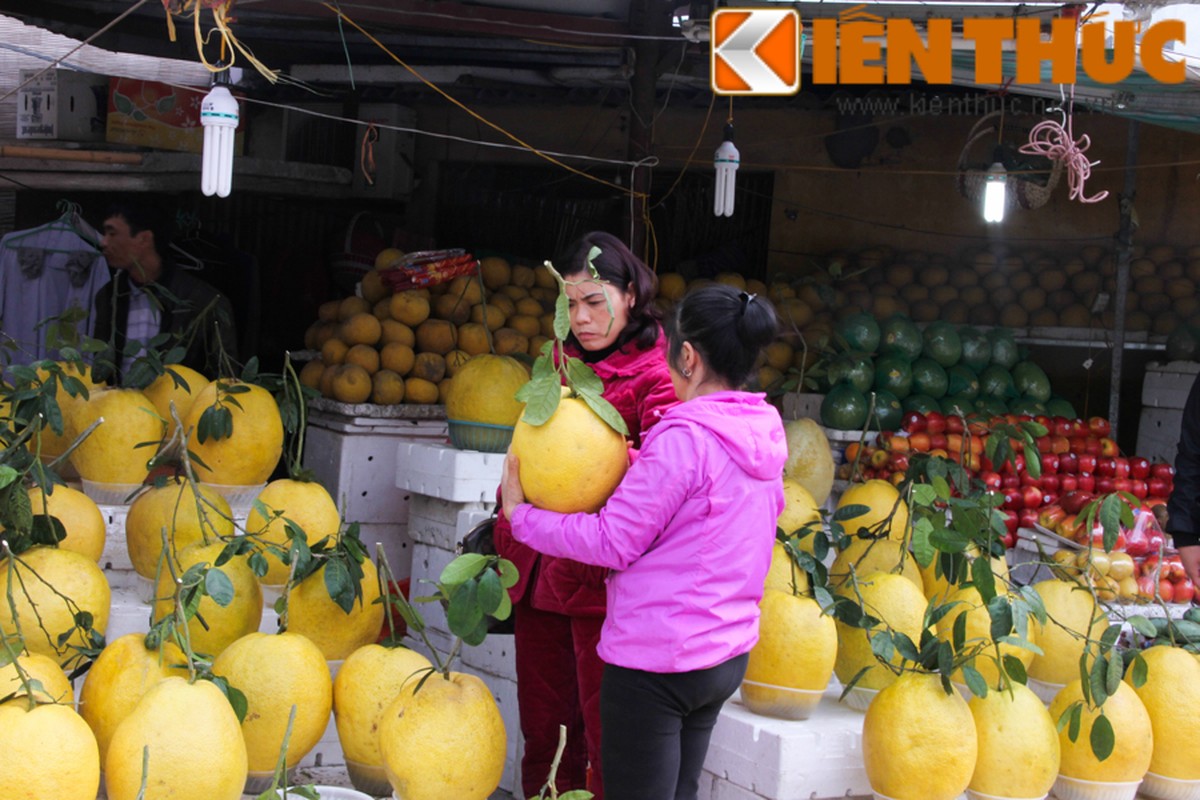 Can canh buoi vang khong lo chung Tet hut khach Ha Noi