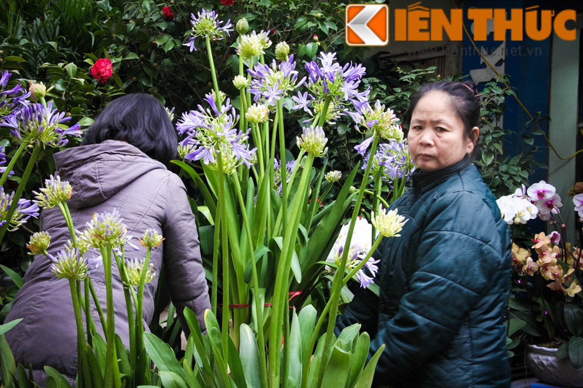 Hang doc 2016: Lua dong len chau canh choi Tet-Hinh-10