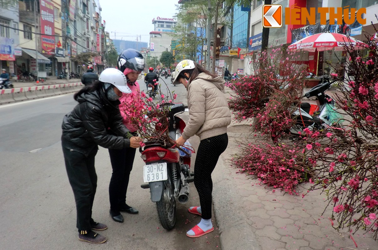 Hoa dao ha gia “soc”, ban tran duong Ha Noi sau Tet-Hinh-5