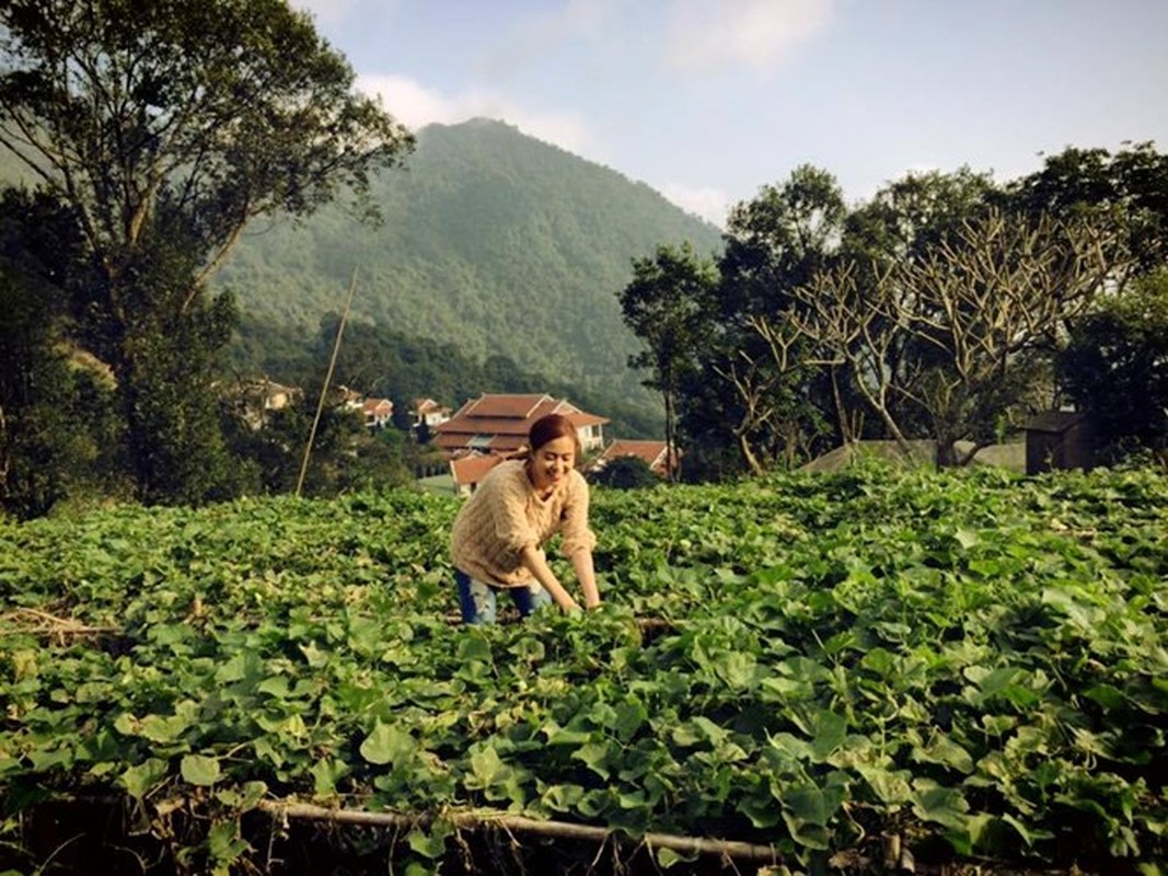 Muot mat ngam vuon rau xanh tuoi cua sao Viet-Hinh-8