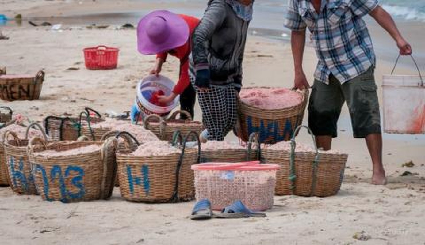 Nhung tiet lo soc ve thuoc nhuom do ruoc o Phu Yen-Hinh-5