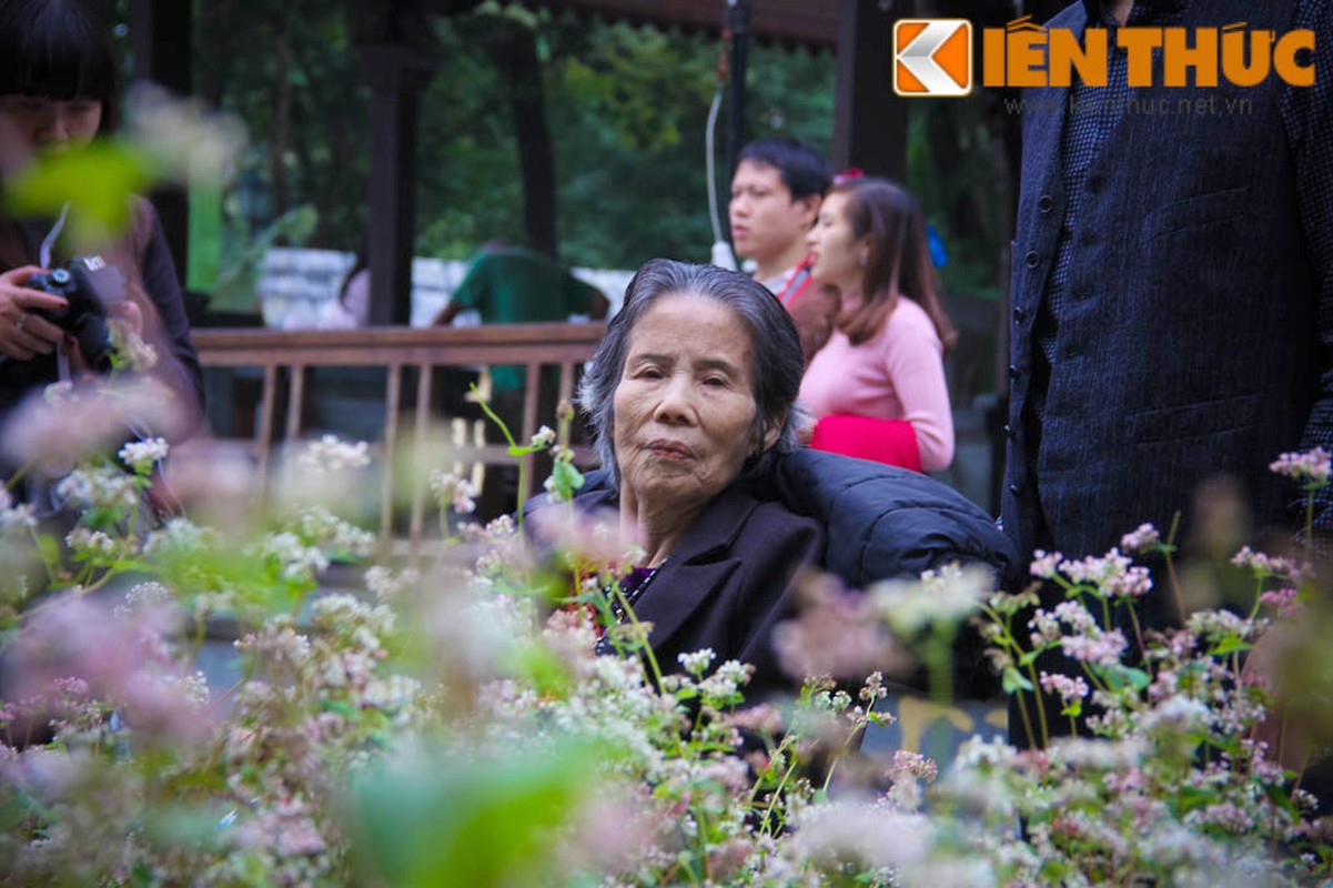 Ha Noi: Nguoi dan thich thu ngam hoa tam giac mach tren pho di bo-Hinh-4