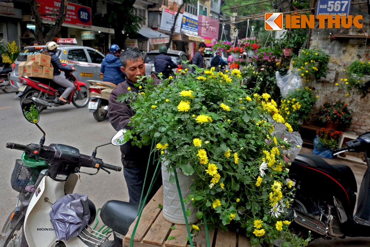 Anh: Sac hoa ruc ro tai pho hoa noi tieng nhat Ha Thanh-Hinh-10