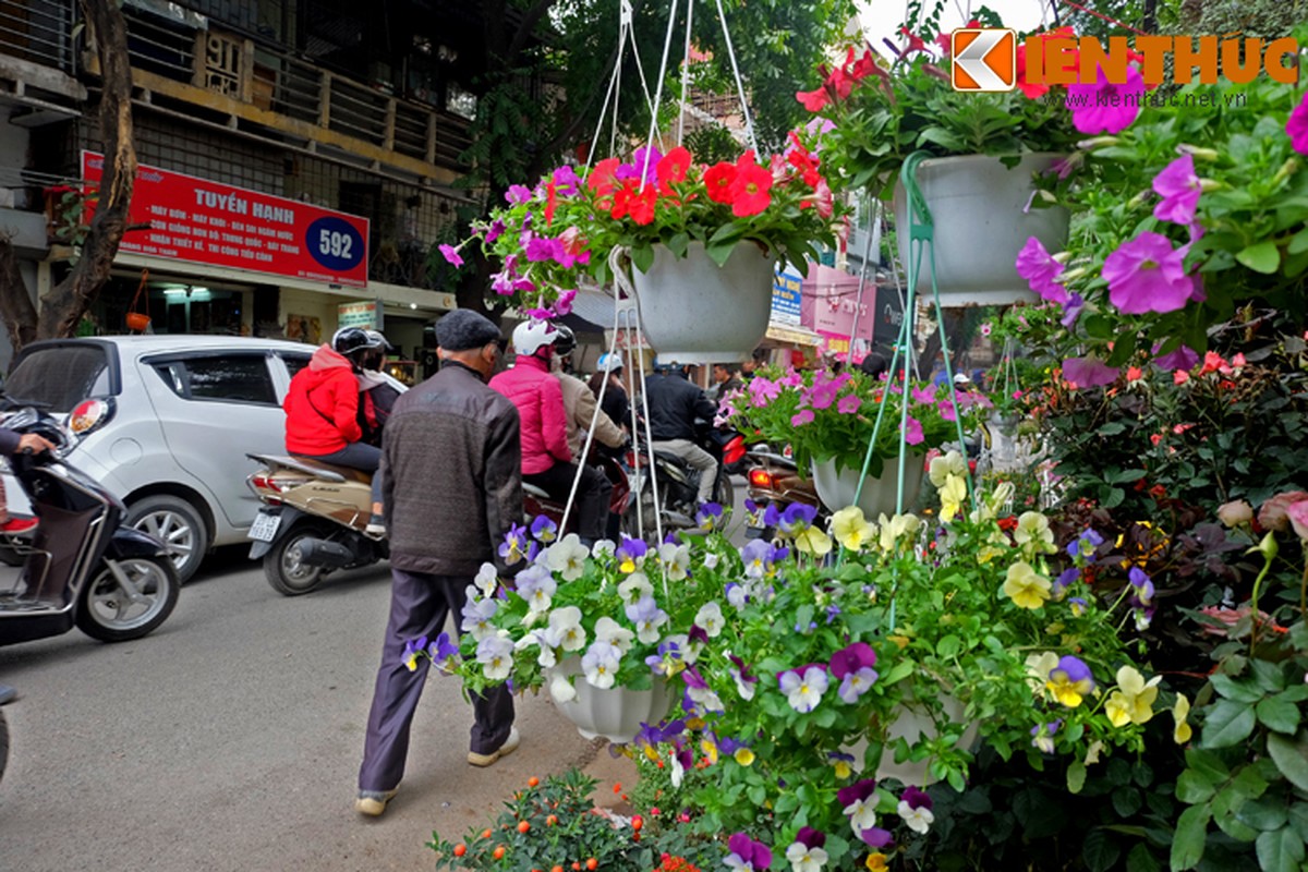 Anh: Sac hoa ruc ro tai pho hoa noi tieng nhat Ha Thanh-Hinh-3