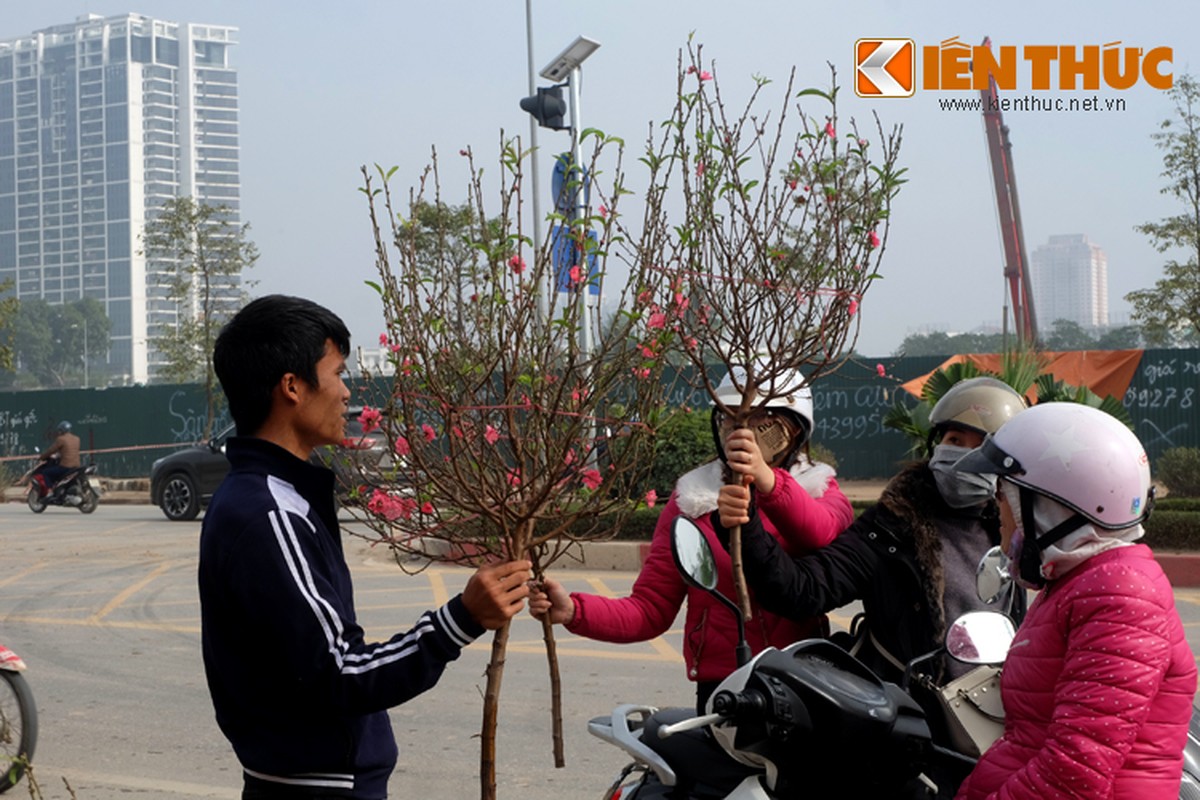 Anh: Tet ve tren nhung xe cho dao rong tren pho Ha Noi-Hinh-11