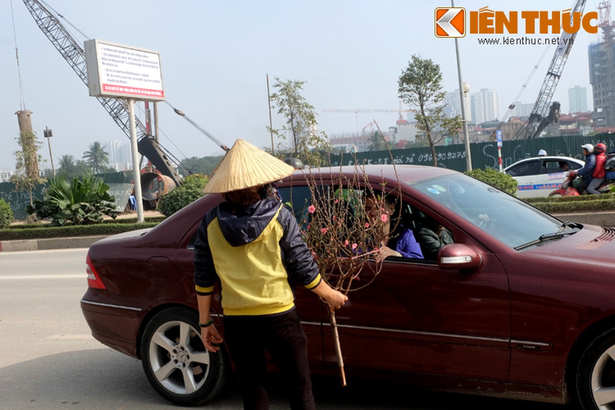 Anh: Tet ve tren nhung xe cho dao rong tren pho Ha Noi-Hinh-14