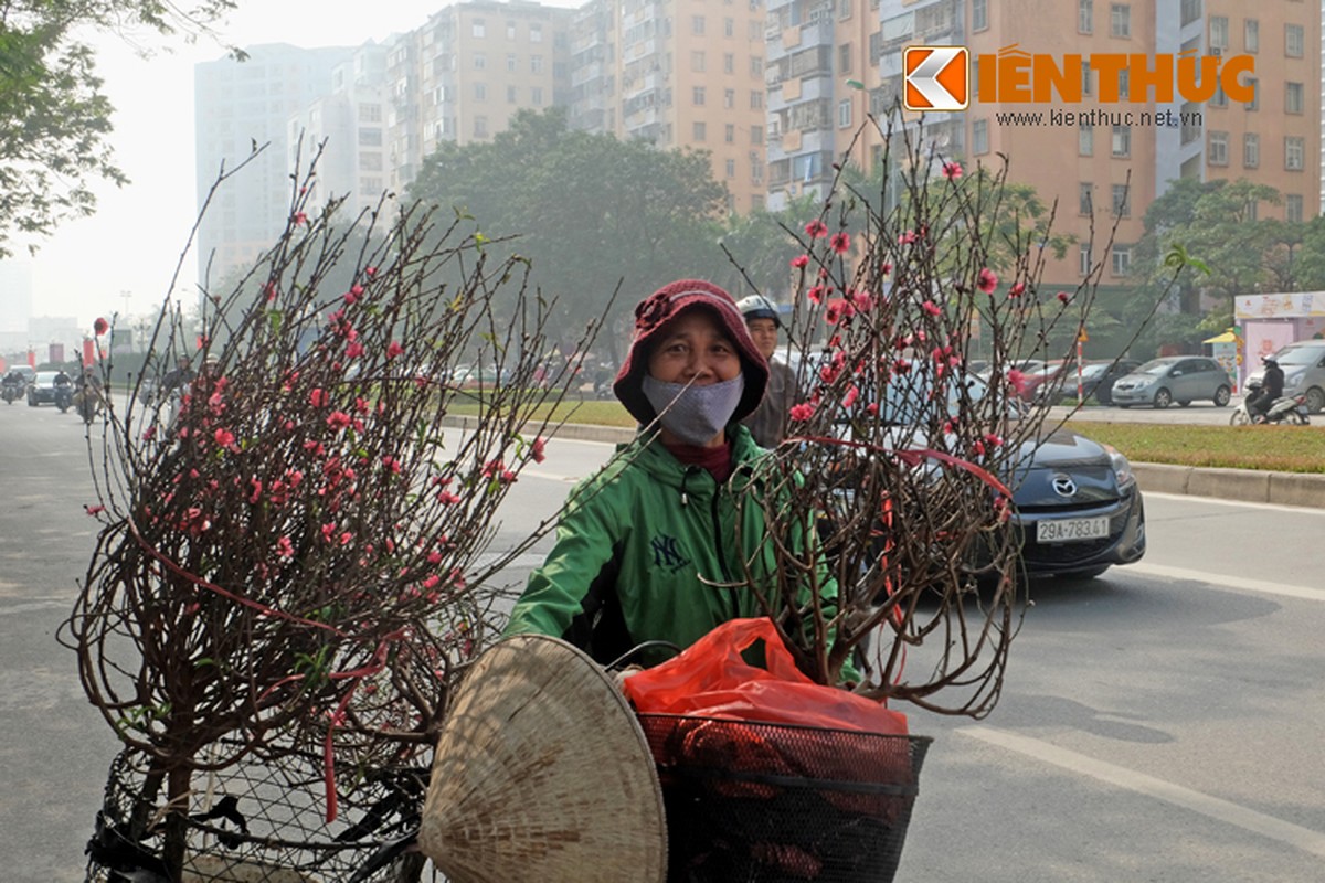 Anh: Tet ve tren nhung xe cho dao rong tren pho Ha Noi-Hinh-2