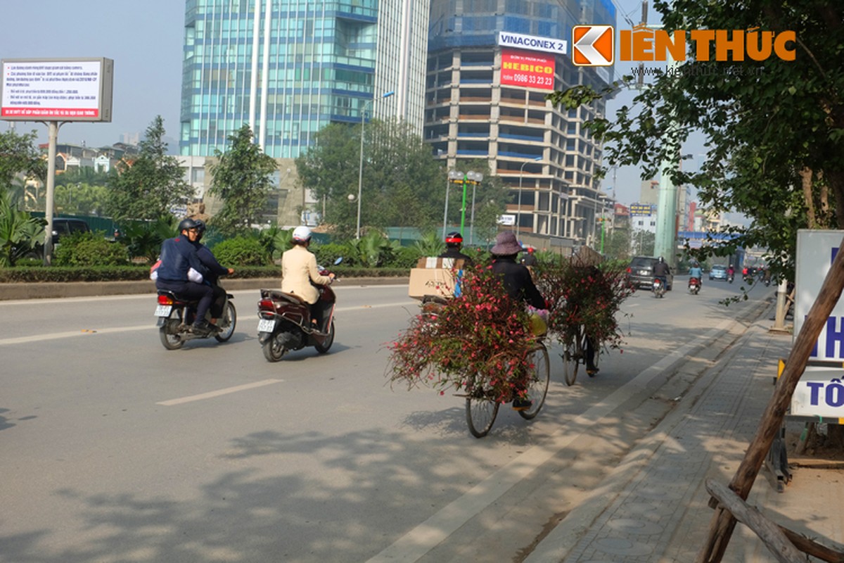 Anh: Tet ve tren nhung xe cho dao rong tren pho Ha Noi-Hinh-3