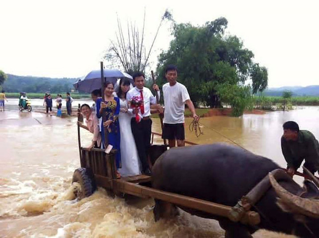 Vui het nac voi loat anh giao thong doc dao o Viet Nam-Hinh-4