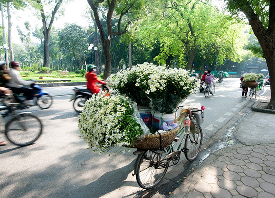 Tan chay truoc bo anh dep 4 mua o Ha Noi-Hinh-7