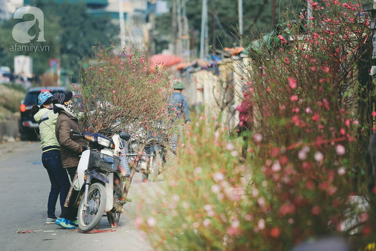 Anh dep: Nguoi Ha Noi ben hoa dao Tet-Hinh-3