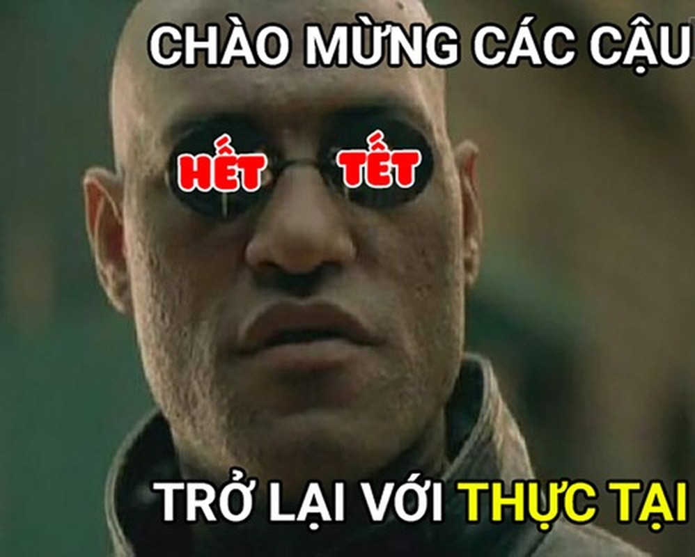 Cuoi te ghe voi loat anh vui “ac mong khi het Tet“-Hinh-3