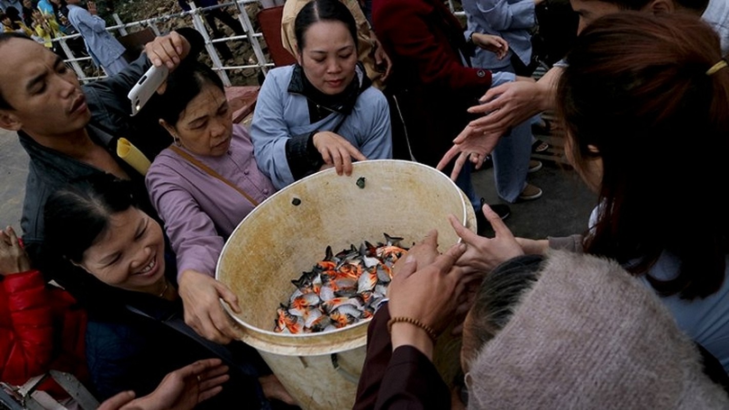 Nhung su kien nong ham hap du luan tuan qua (6-12/2)-Hinh-2