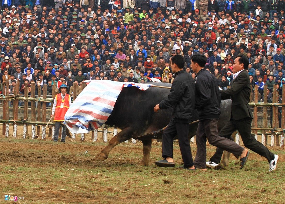 Anh: Dung may xuc keo “ong Cau” thua tran ra khoi hoi choi trau-Hinh-9