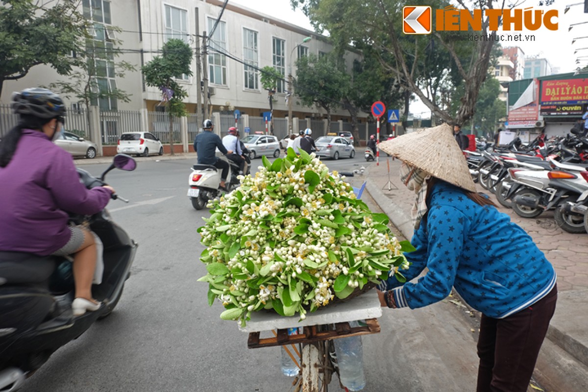 Anh: Nong nan hoa buoi ngat huong pho Ha Noi-Hinh-13