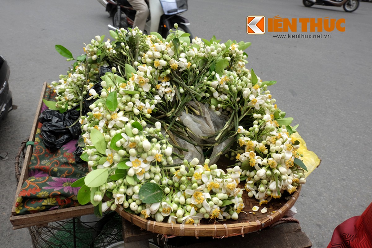 Anh: Nong nan hoa buoi ngat huong pho Ha Noi-Hinh-8