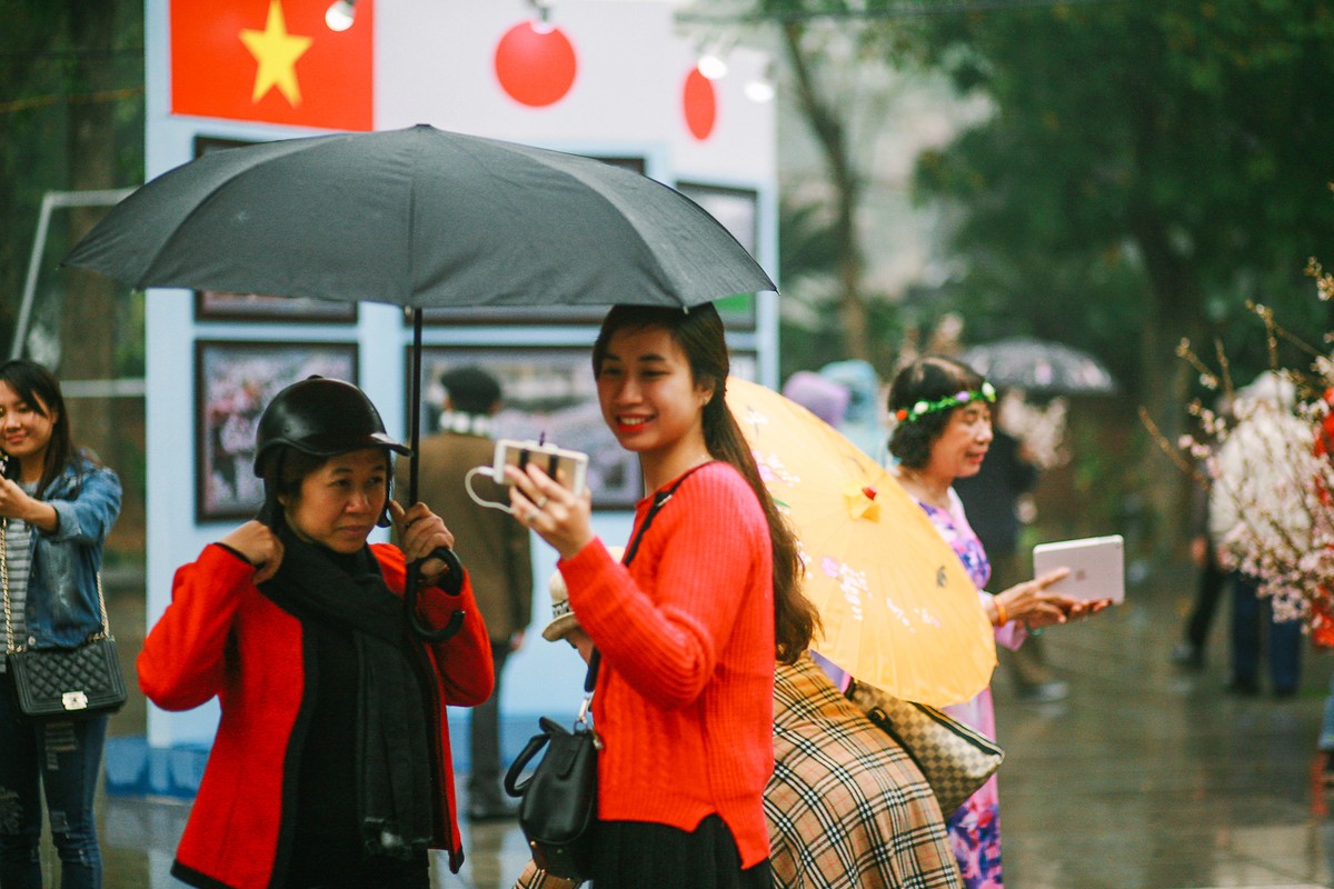 Nguoi dan doi mua di xem Le hoi hoa anh dao Nhat Ban-Hinh-7