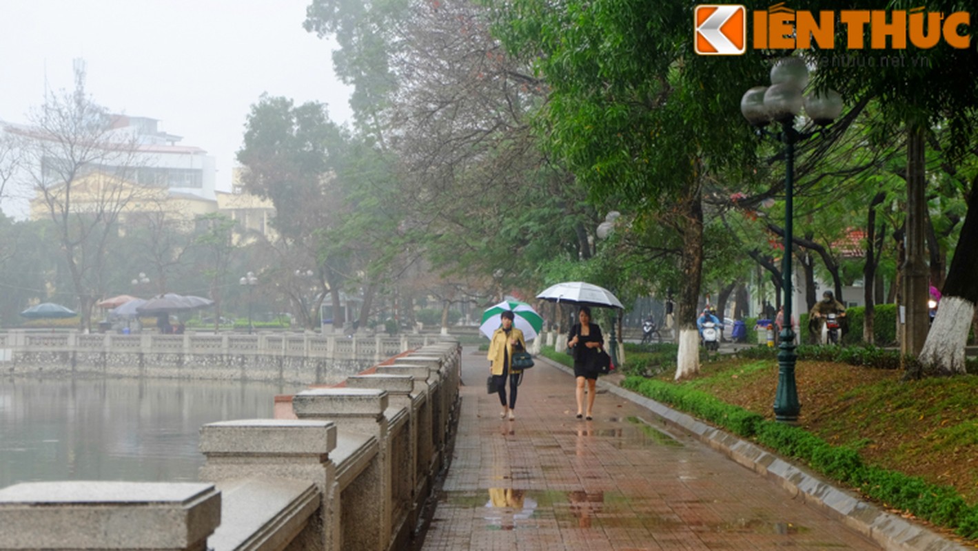 Chum anh: Ha Noi chim trong man mua mu ret muot-Hinh-17