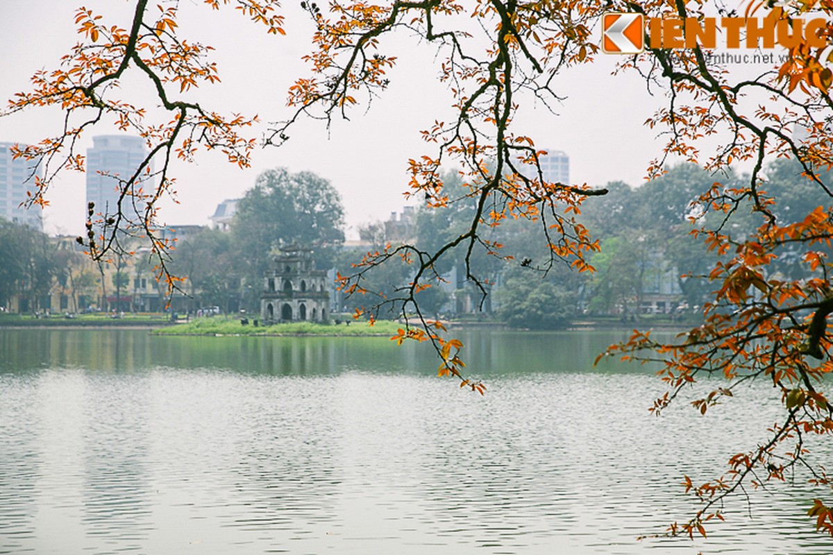 Anh: Ha Noi dep nao long mua cay thay la