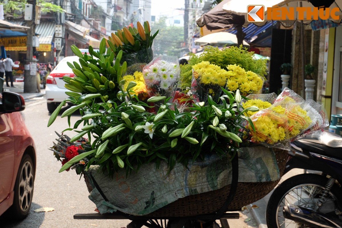 Anh: Hoa loa ken tinh khoi xuong pho Ha Noi-Hinh-10