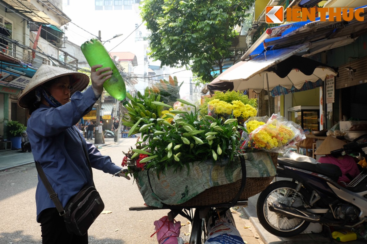 Anh: Hoa loa ken tinh khoi xuong pho Ha Noi-Hinh-12