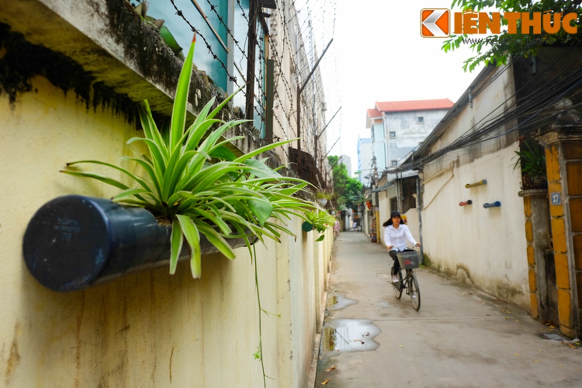 Anh: Trang tri la o ngo nho Ha Noi gay “bao” du luan-Hinh-15