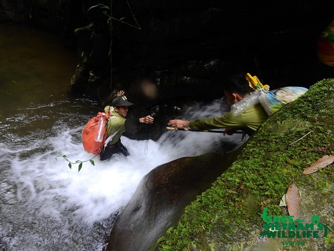 Xem kiem lam treo deo, loi suoi bao ve “bau vat” quoc gia-Hinh-11