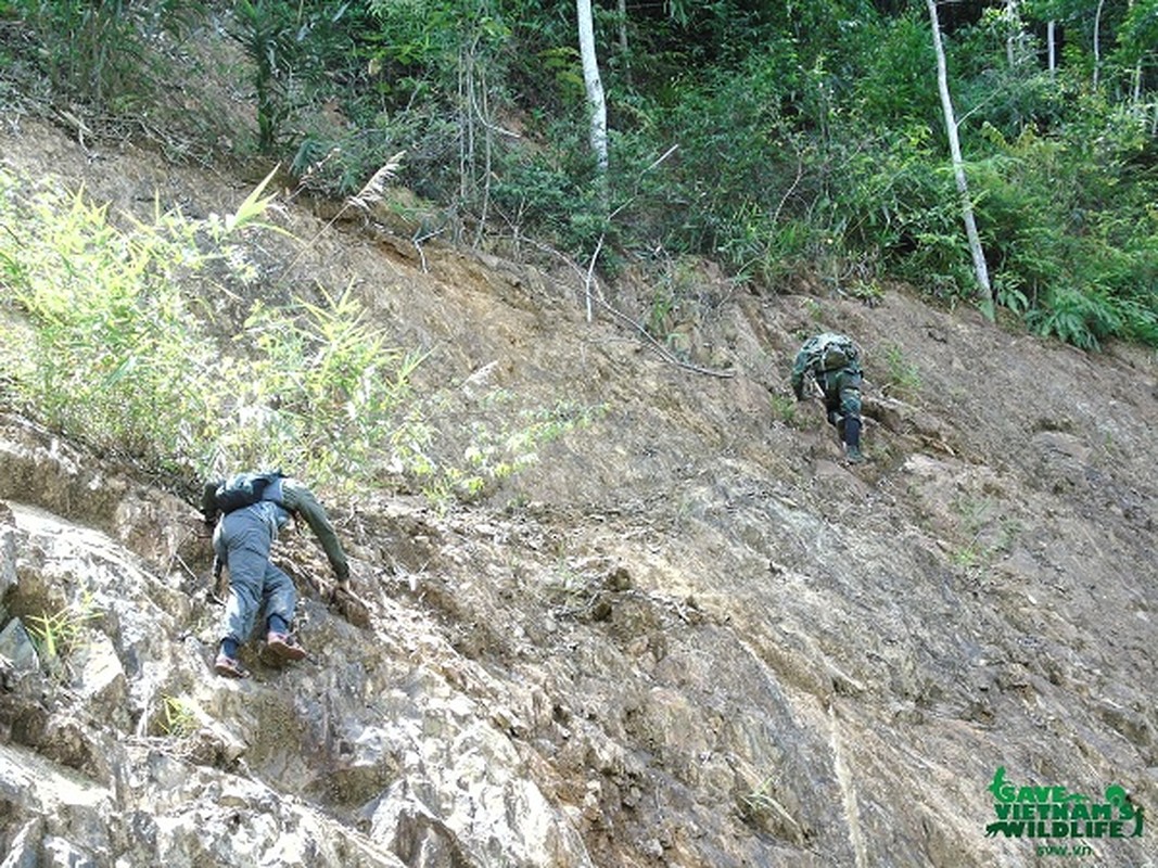 Xem kiem lam treo deo, loi suoi bao ve “bau vat” quoc gia-Hinh-12