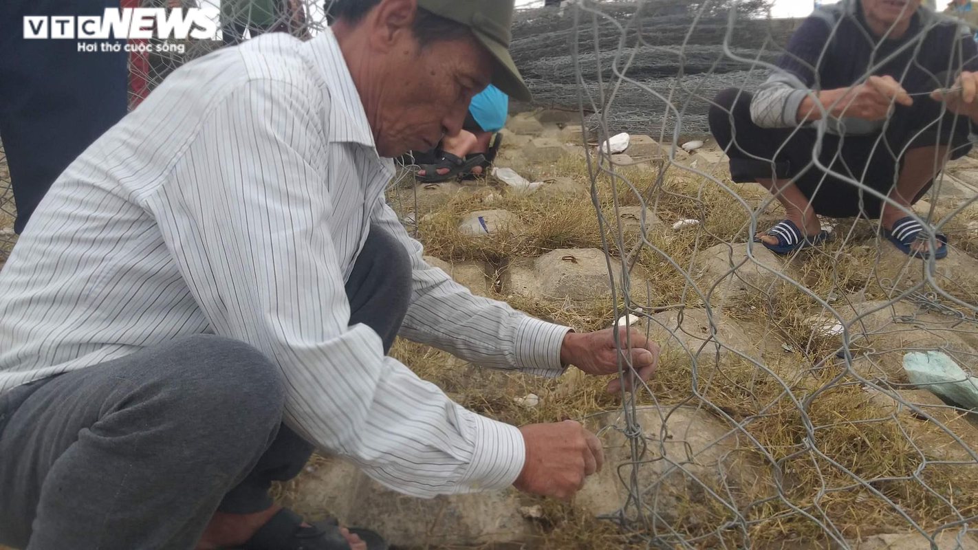 Nguoi Ha Tinh dam mua cuu ke bien truoc bao 